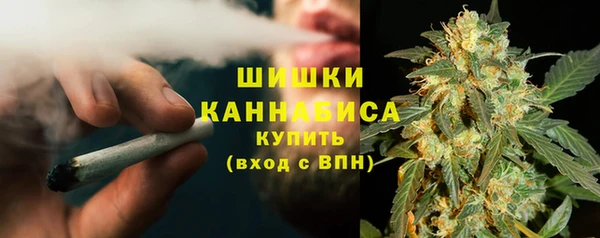 Альфа ПВП Аркадак