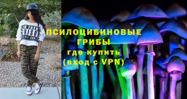 дмт Арсеньев