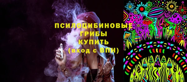 Альфа ПВП Аркадак