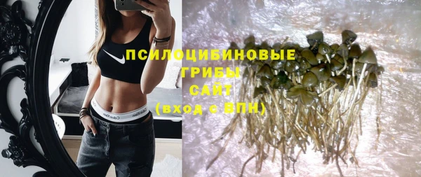 дмт Арсеньев