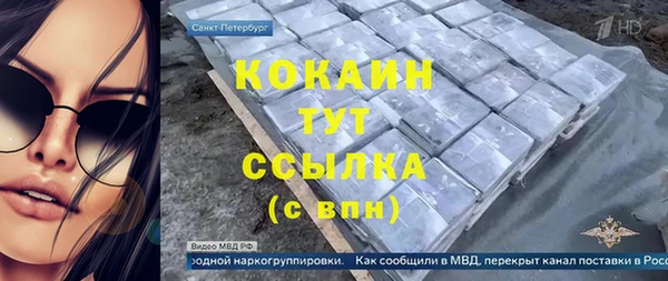Альфа ПВП Аркадак